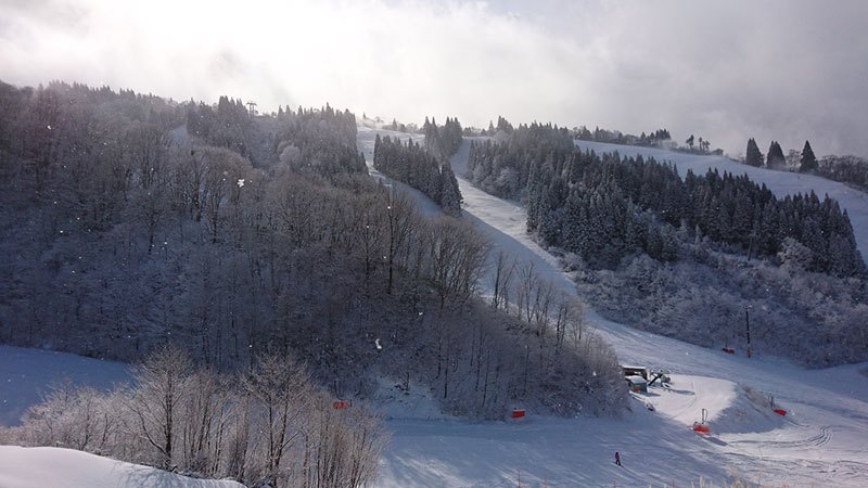 岐阜WhitePIA高鷲滑雪場雪景風光