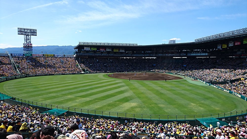 陽光下的阪神甲子園球場，職棒比賽火熱進行中